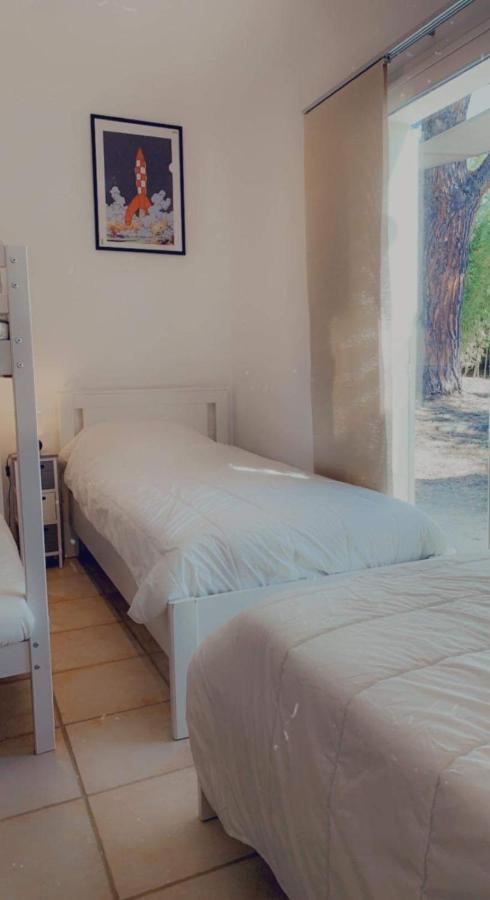 … Et La Fourmi Villa Saumane-de-Vaucluse Luaran gambar